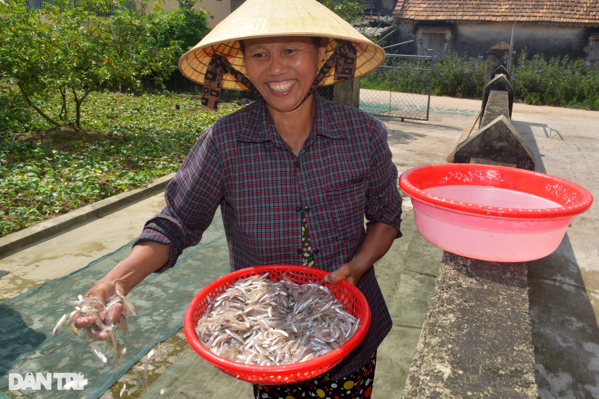 Quảng Bình: Loài cá gần bằng ngón tay giúp ngư dân thu nhập chục triệu mỗi ngày - Ảnh 9.