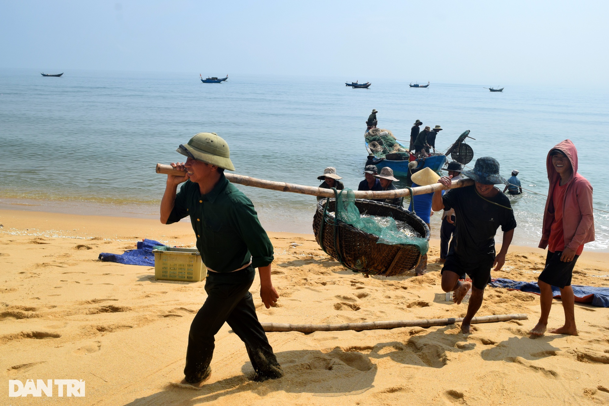 Quảng Bình: Loài cá gần bằng ngón tay giúp ngư dân thu nhập chục triệu mỗi ngày - Ảnh 2.