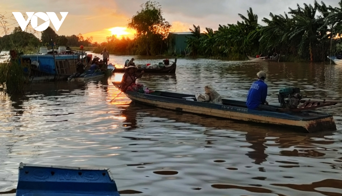 Chợ chỉ họp vào mùa nữa nổi mỗi năm, chuyên bán đặc sản: cá linh, cá sặc, cá rô, cua đồng, rắn bông súng,… - Ảnh 2.