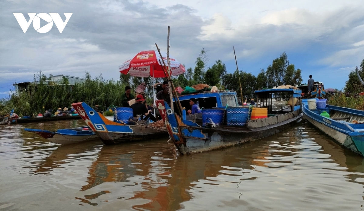 Chợ chỉ họp vào mùa nữa nổi mỗi năm, chuyên bán đặc sản: cá linh, cá sặc, cá rô, cua đồng, rắn bông súng,… - Ảnh 3.