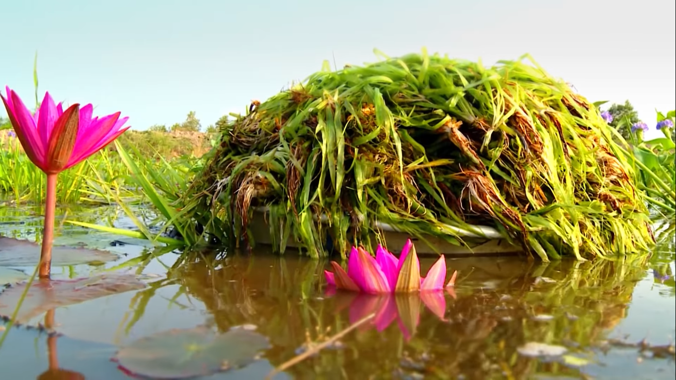 Mùa nước nổi nơi này cũng cá linh, hẹ nước, bông điên điển, lại còn có loài cá bống cực ngon - Ảnh 1.