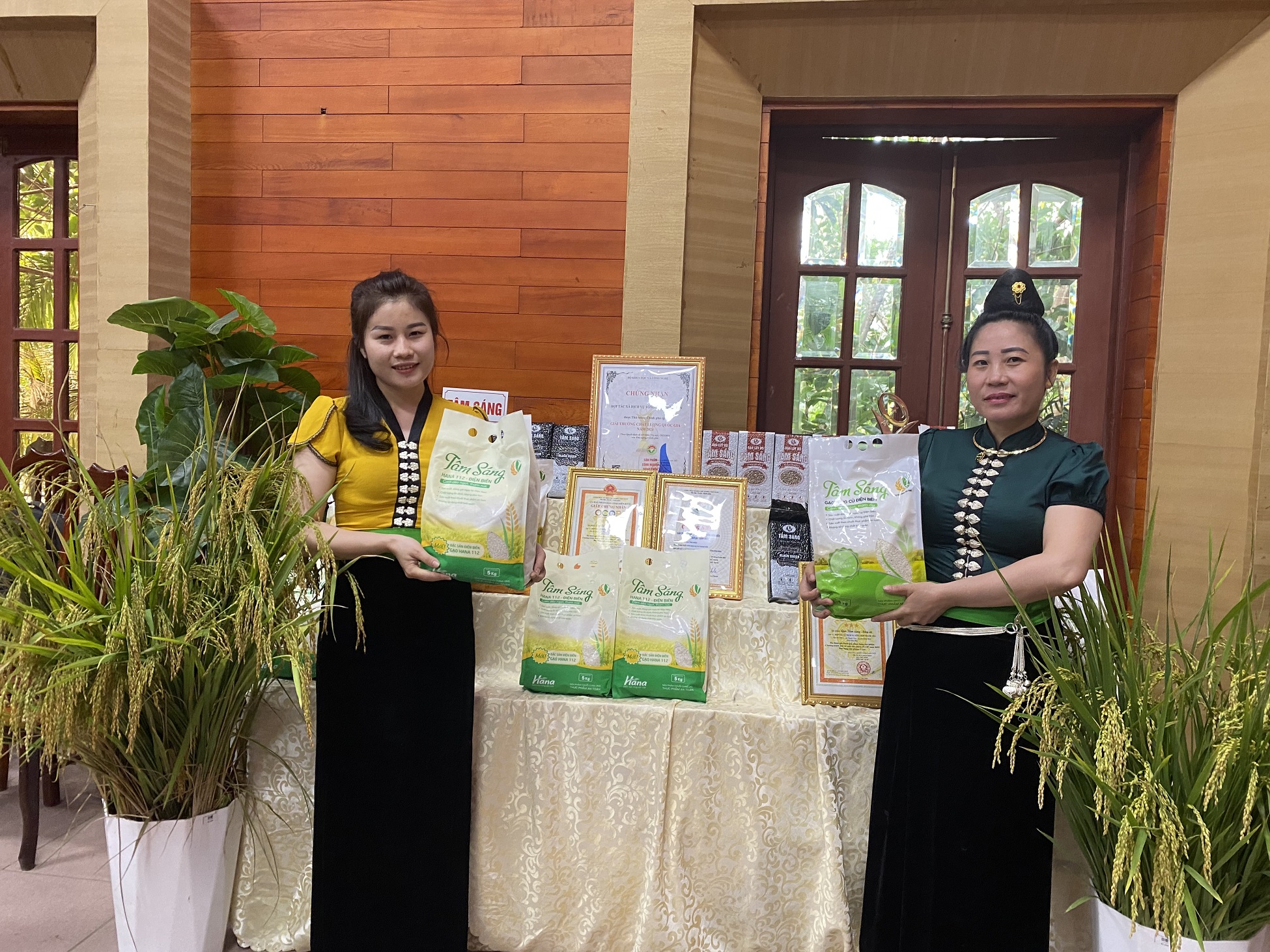 Điện Biên: 3 nhóm giải pháp nâng cao chất lượng, giá trị lúa gạo trên cánh đồng Mường Thanh - Ảnh 2.