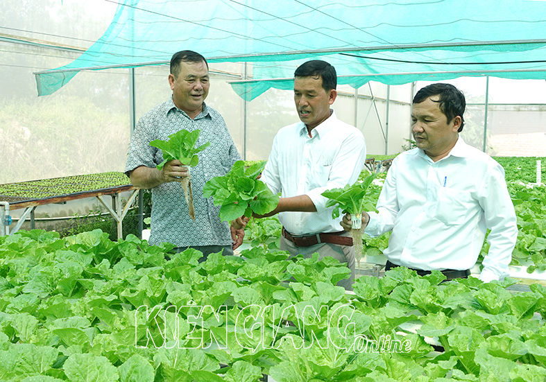 Nông dân TP Phú Quốc ở Kiên Giang thu tiền tỷ nhờ trồng rau thủy canh kết hợp mở quán ăn sinh thái - Ảnh 2.