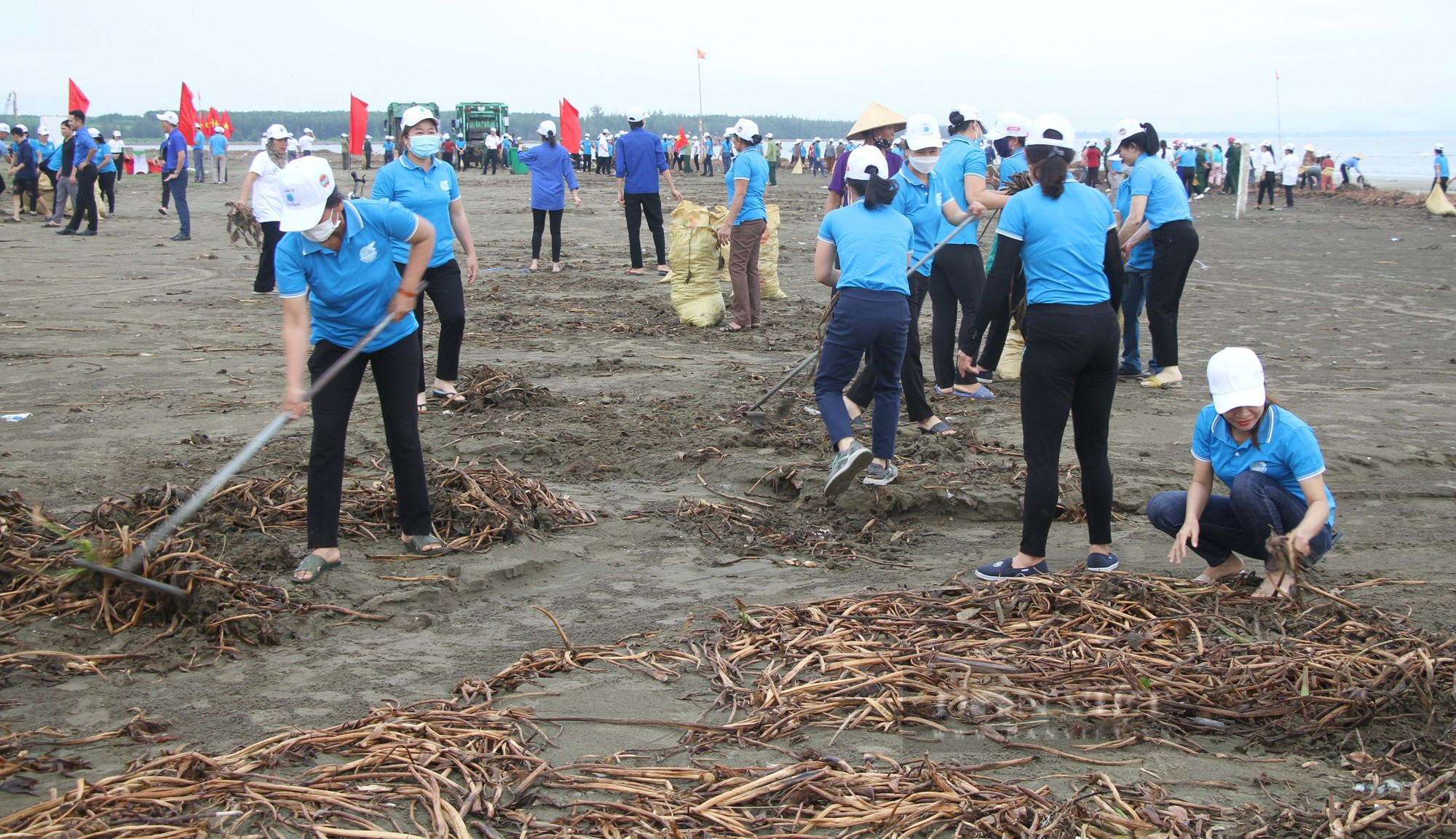Hàng trăm nông dân Nghệ An ra quân làm sạch bãi biển trong ngày Cùng hành động để thế giới sạch hơn  - Ảnh 6.