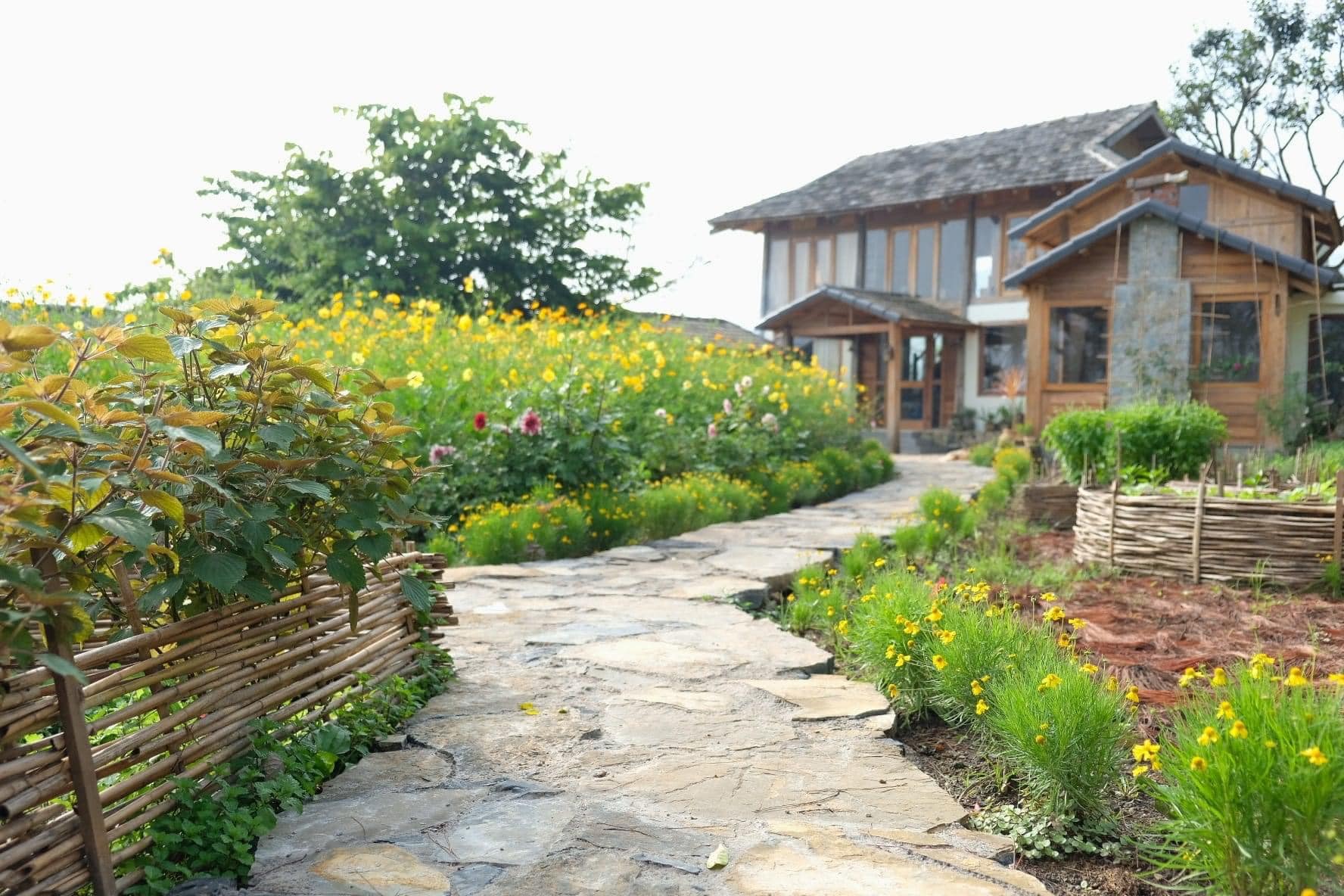 Ngôi nhà đẹp bằng gỗ bình yên, phủ đầy hoa trên cao nguyên Mộc Châu  - Ảnh 2.