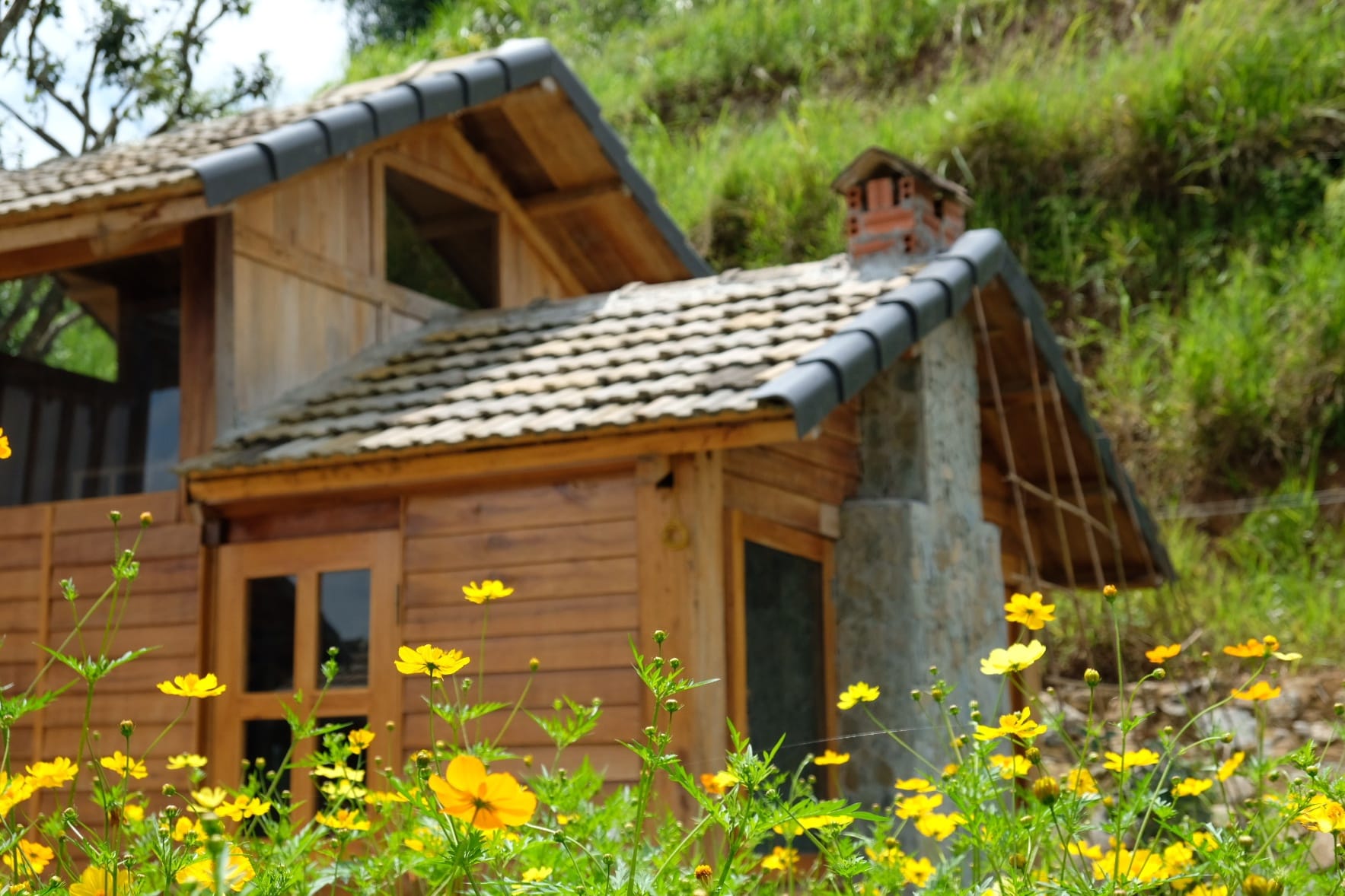 Ngôi nhà đẹp bằng gỗ bình yên, phủ đầy hoa trên cao nguyên Mộc Châu  - Ảnh 3.
