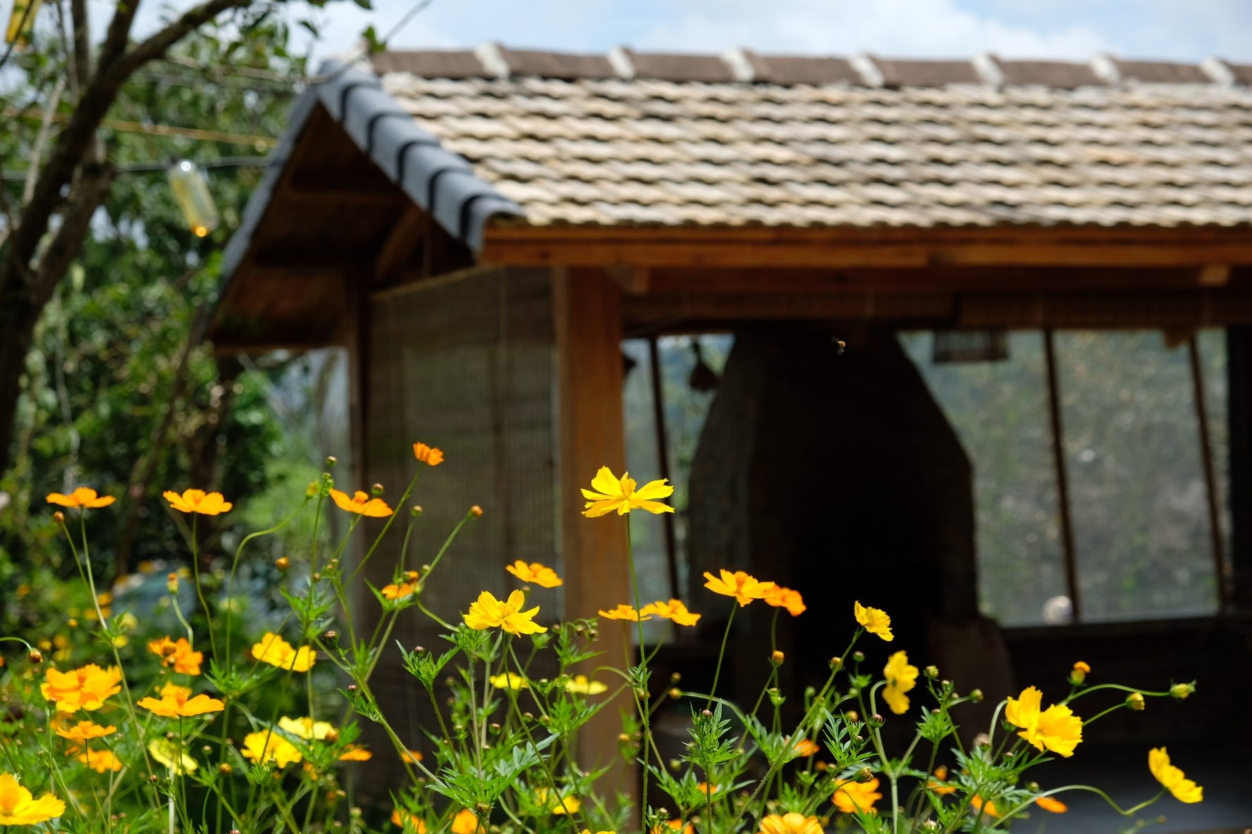 Ngôi nhà đẹp bằng gỗ bình yên, phủ đầy hoa trên cao nguyên Mộc Châu  - Ảnh 16.