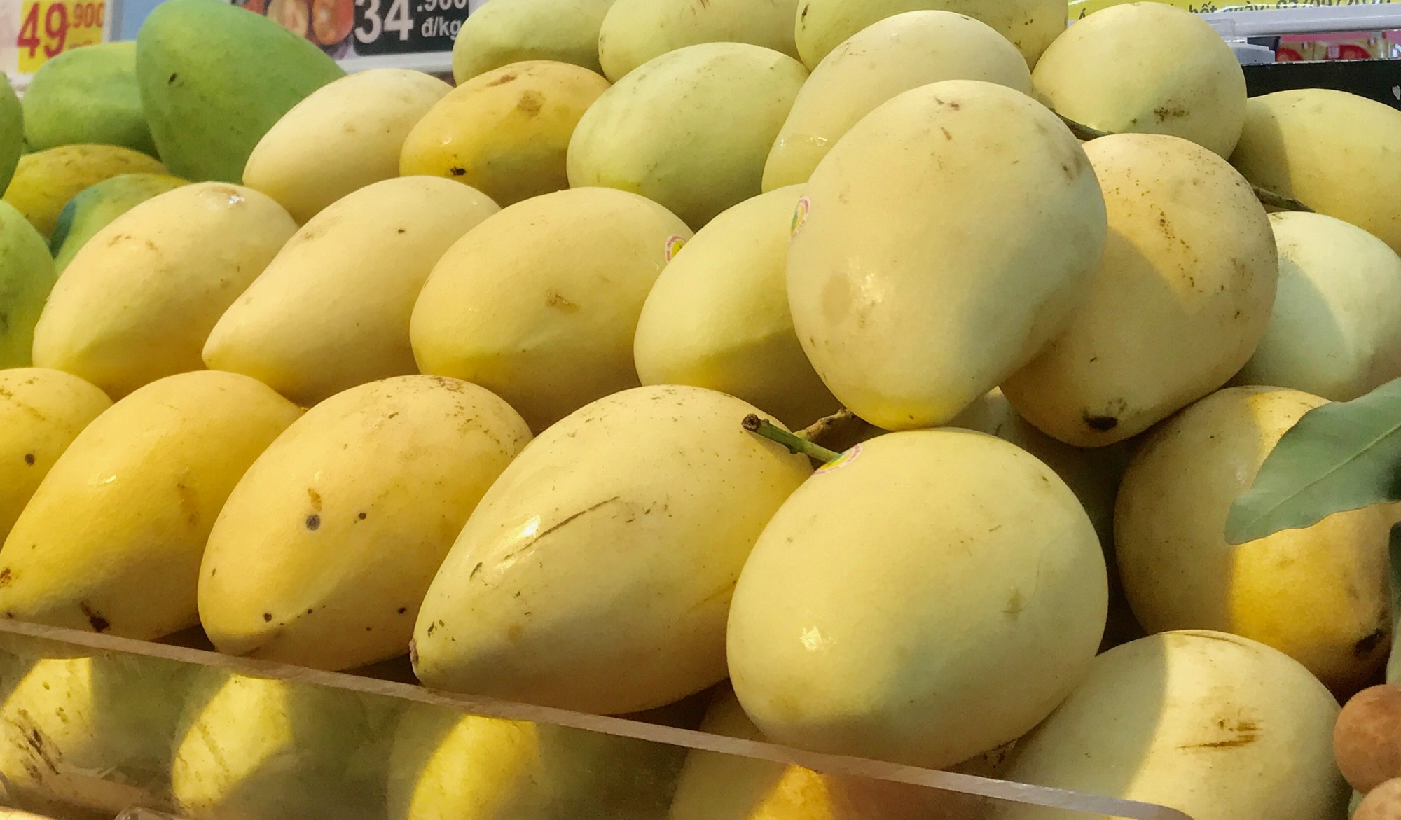 Hàn Quốc thích một loại trái cây của Việt Nam nhưng doanh nghiệp xuất khẩu phải đặc biệt chú ý điều này - Ảnh 1.