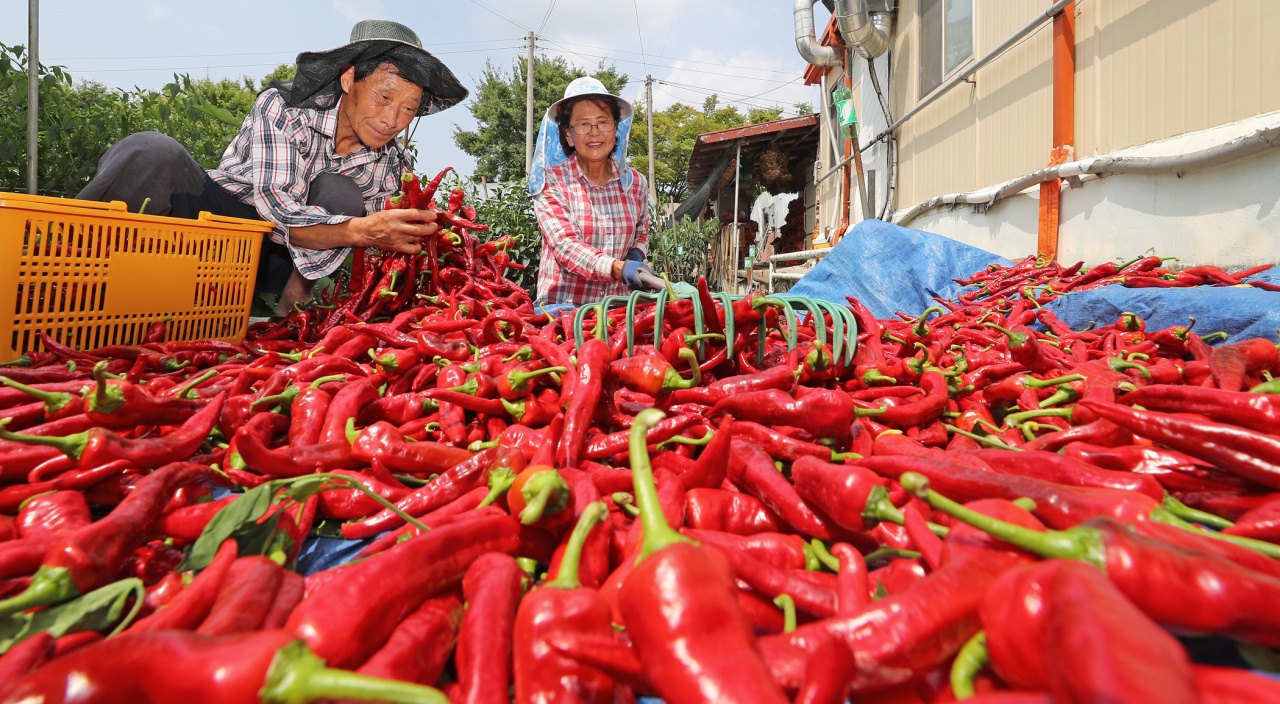 Hầu như món ăn nào của người Hàn cũng cho ớt - Ảnh 1.