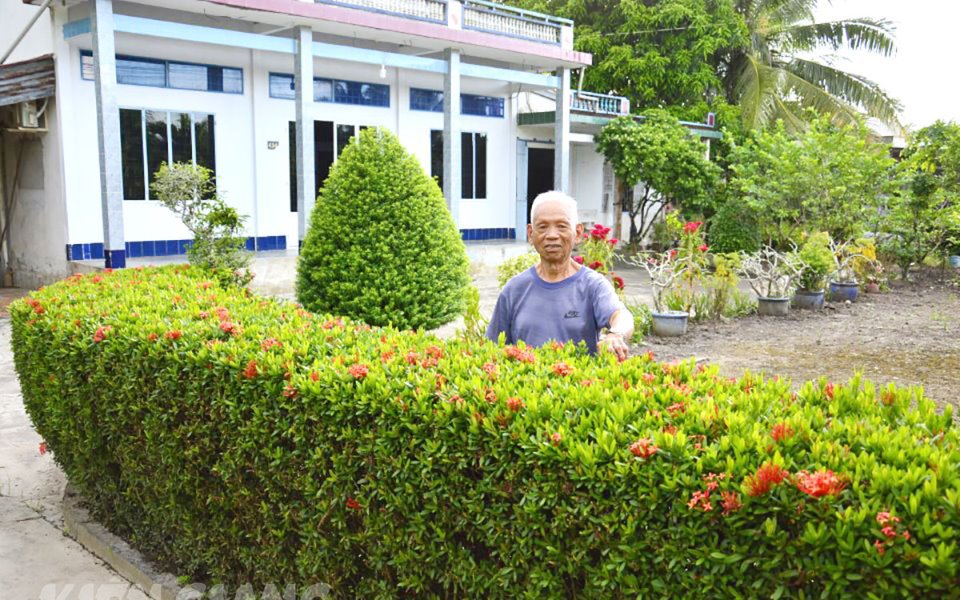 Đường hoa 2 bên hàng rào trồng cây bông trang, huỳnh anh, mai chiếu thủy ở Kiên Giang, ai cũng trầm trồ