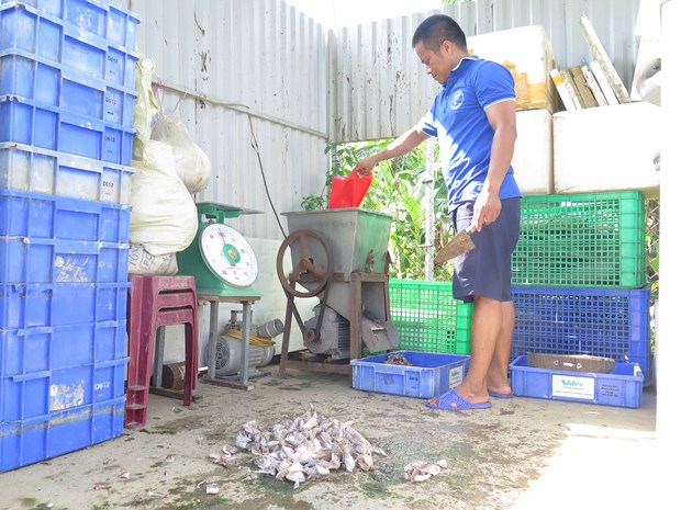 Thuần hóa thành công loài cá quất quý hiếm, anh nông dân Lào Cai bắt lên khỏi ao bán giá 600-650.000 đồng/kg - Ảnh 1.