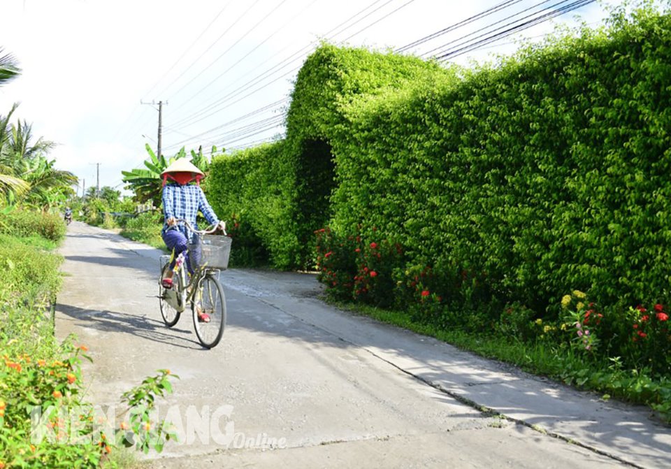 Đường nông thôn mới 2 trồng cây bông trang, huỳnh anh, mai chiếu thủy ở Kiên Giang, ai cũng trầm trồ - Ảnh 1.