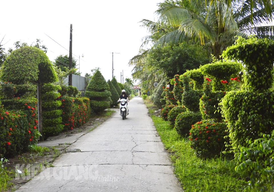 Đường nông thôn mới 2 trồng cây bông trang, huỳnh anh, mai chiếu thủy ở Kiên Giang, ai cũng trầm trồ - Ảnh 3.