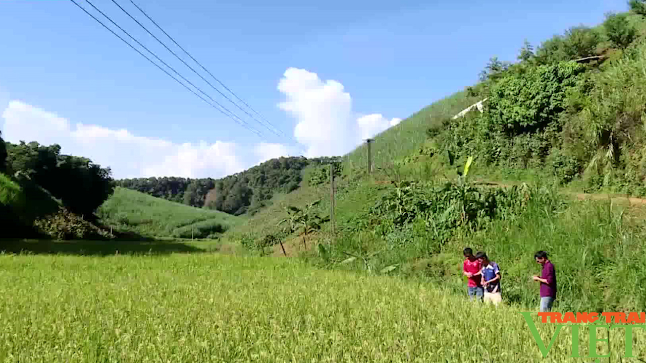 Tương lai sáng trên vùng đất nghèo từ những &quot;hạt giống đỏ&quot; - Ảnh 5.