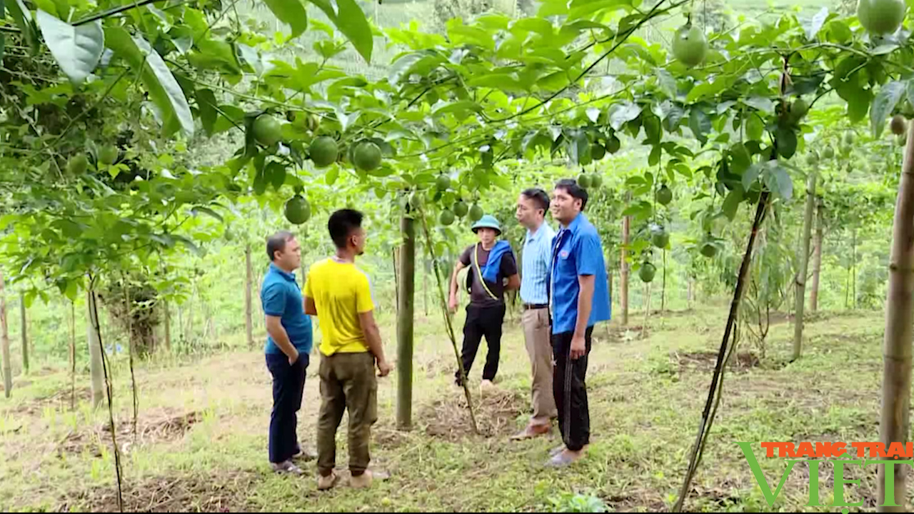 Tương lai sáng trên vùng đất nghèo từ những &quot;hạt giống đỏ&quot; - Ảnh 6.