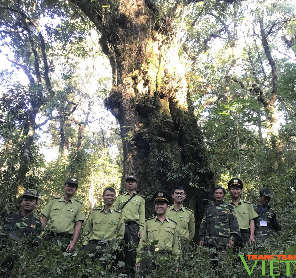 Tăng cường công tác quản lý, bảo vệ rừng và bảo tồn đa dạng sinh học ở Sơn La - Ảnh 2.
