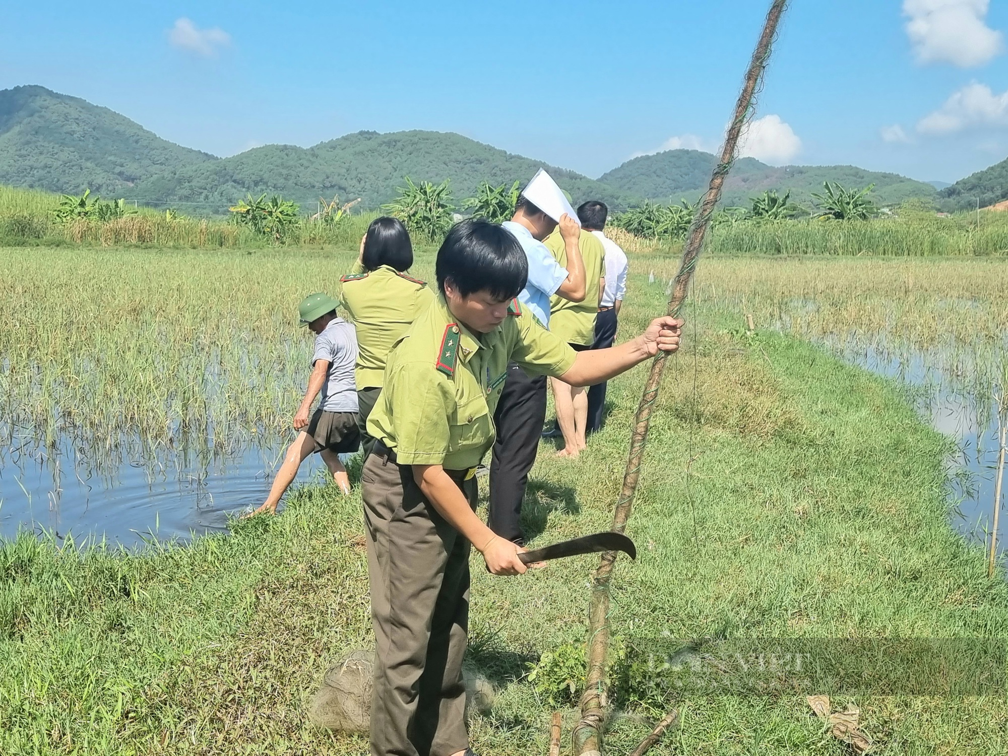 Sau phản ánh của báo Dân Việt, gần 200 mét lưới dùng bẫy chim trời bị tiêu hủy - Ảnh 4.