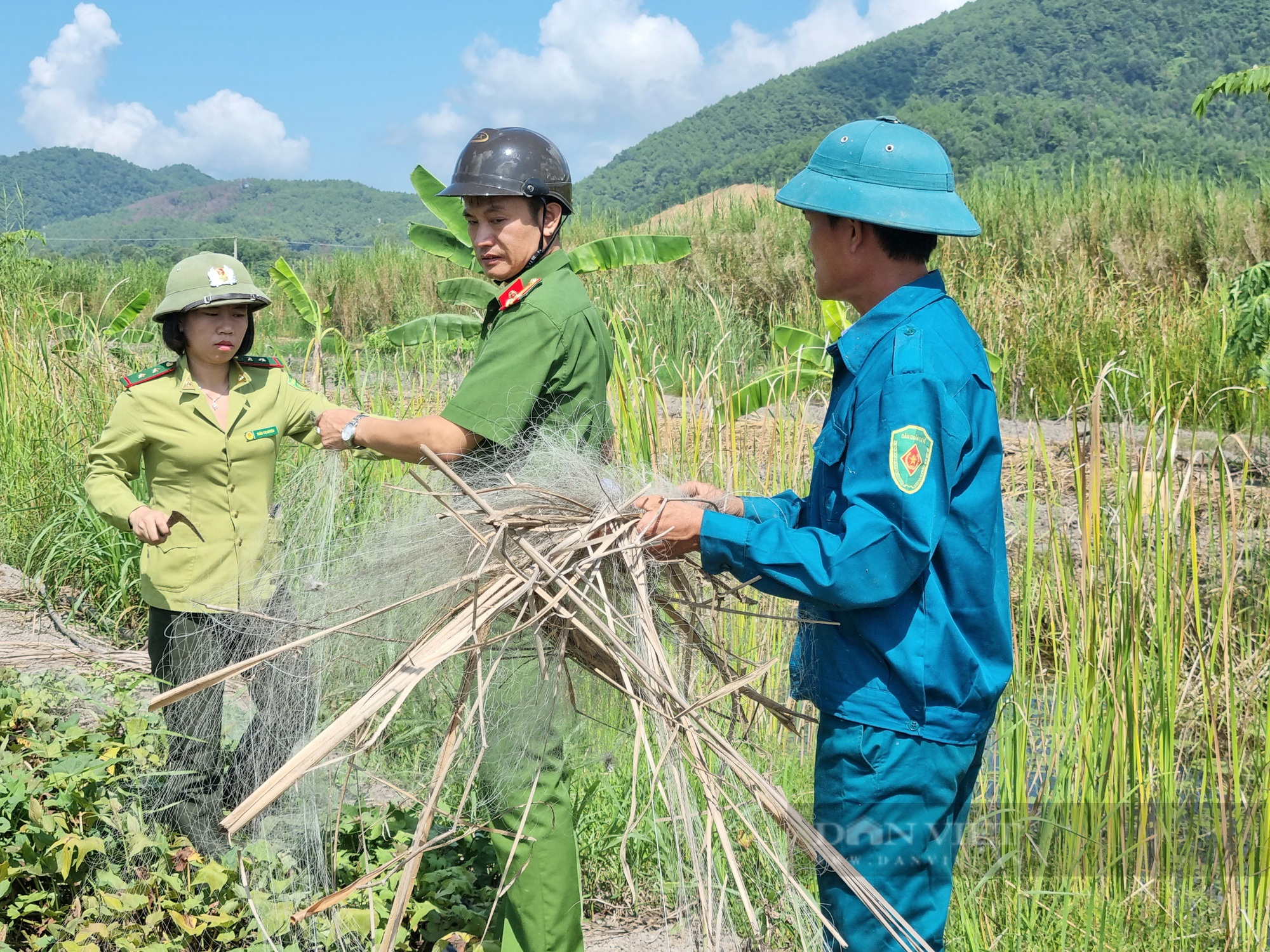 Sau phản ánh của báo Dân Việt, gần 200 mét lưới dùng bẫy chim trời bị tiêu hủy - Ảnh 5.