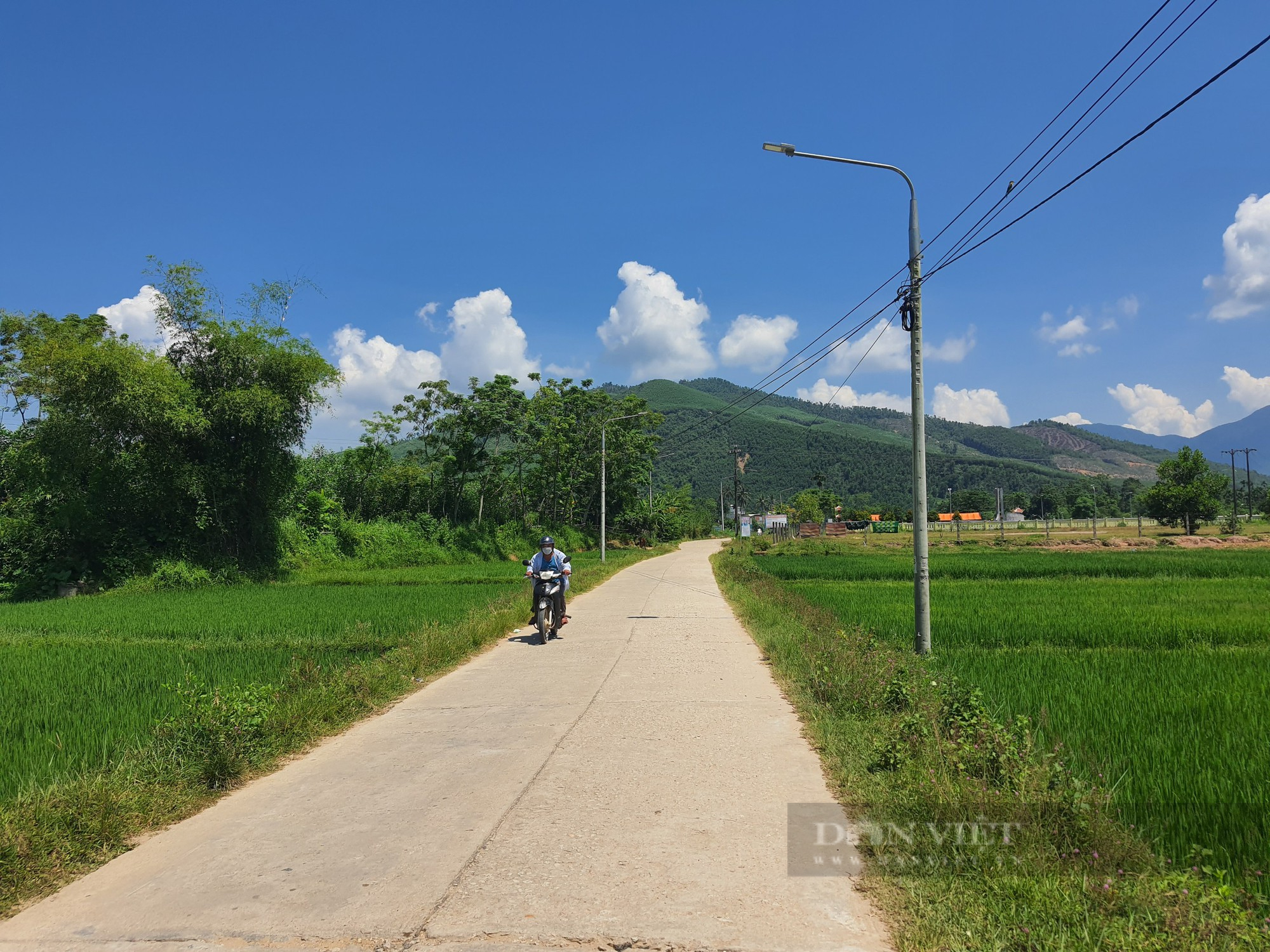 Quảng Nam: Quê hương Ninh Phước đổi thay nhờ nông thôn mới - Ảnh 4.