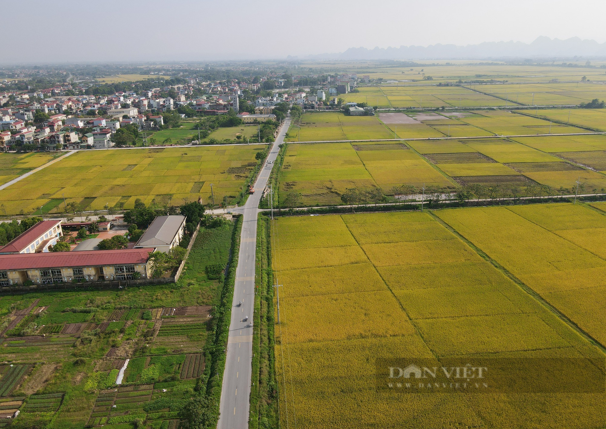 Mê mẩn trước vẻ đẹp mùa lúa chín ở ngoại thành Hà Nội - Ảnh 14.