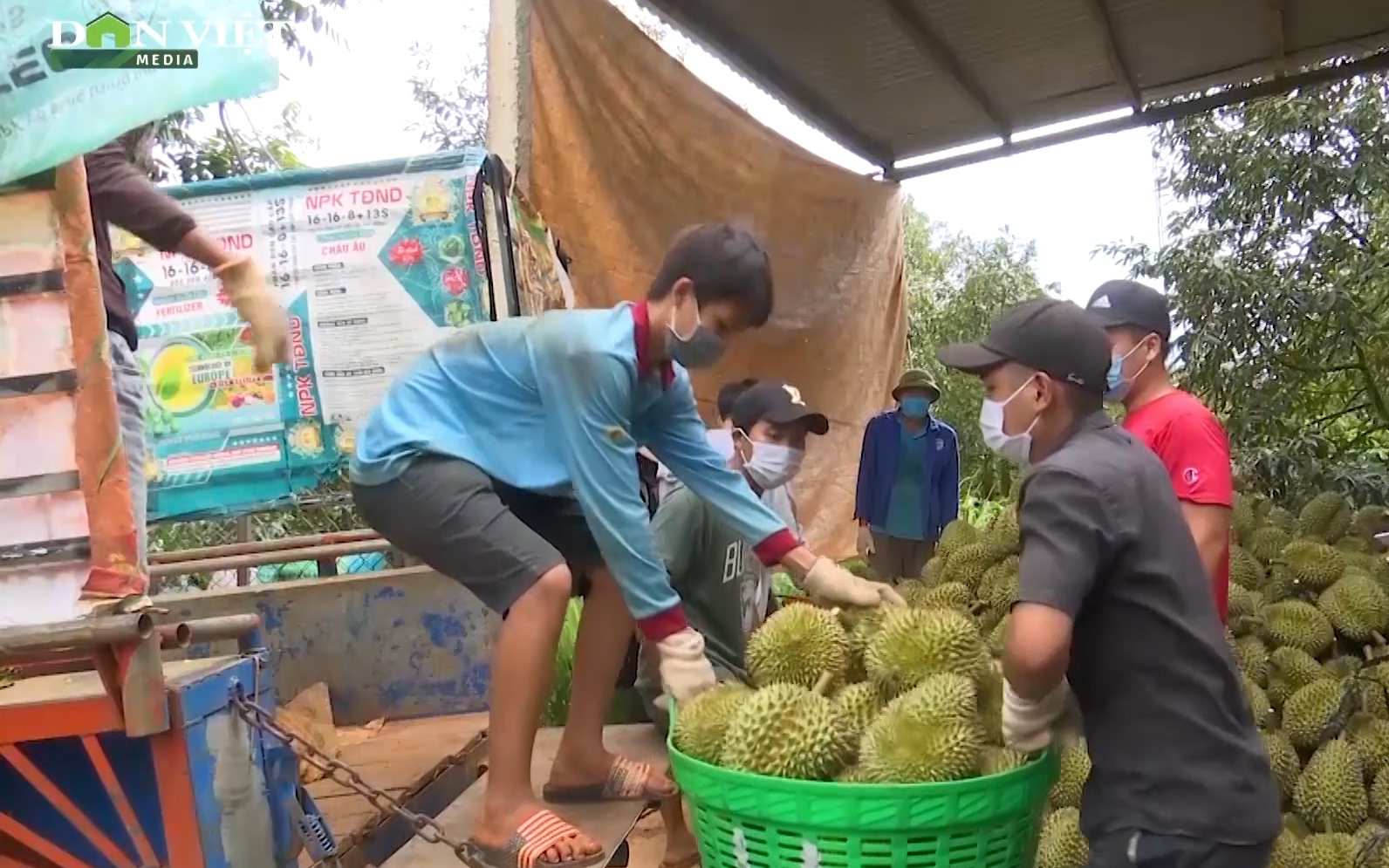 Niềm vui sau chuyến sầu riêng Đắk Lắk đầu tiên xuất khẩu sang Trung Quốc