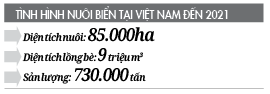 “Đánh thức” nghề nuôi cá biển công nghiệp: Chủ động nguồn thức ăn, bỏ dùng cá tạp - Ảnh 2.