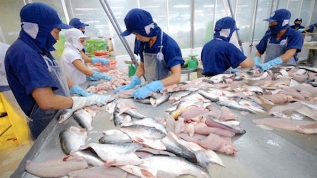 Hoa Kỳ giữ nguyên mức thuế chống phá giá với cá tra, basa từ Việt Nam - Ảnh 1.