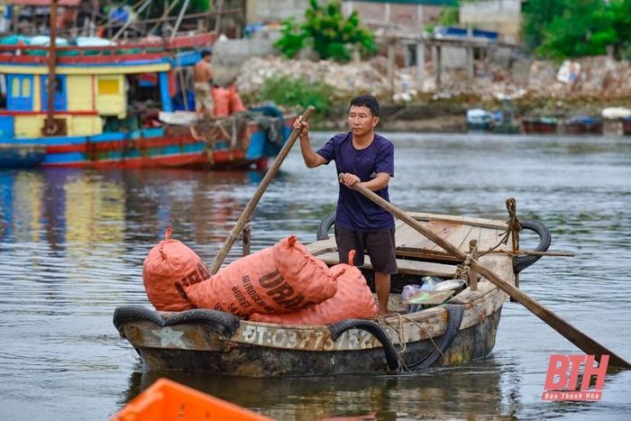 La liệt các loại tôm, cua, cá, mực,... tươi ngon ở chợ cá Hải Bình nằm bên cửa biển Lạch Bạng - Ảnh 4.