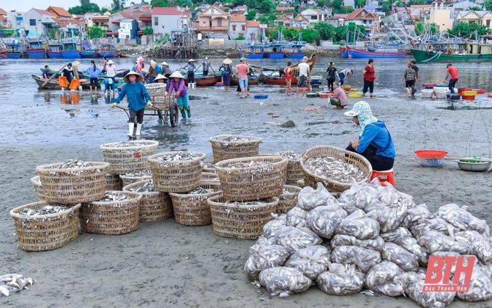 La liệt các loại tôm, cua, cá, mực,... tươi ngon ở chợ cá Hải Bình nằm bên cửa biển Lạch Bạng - Ảnh 1.