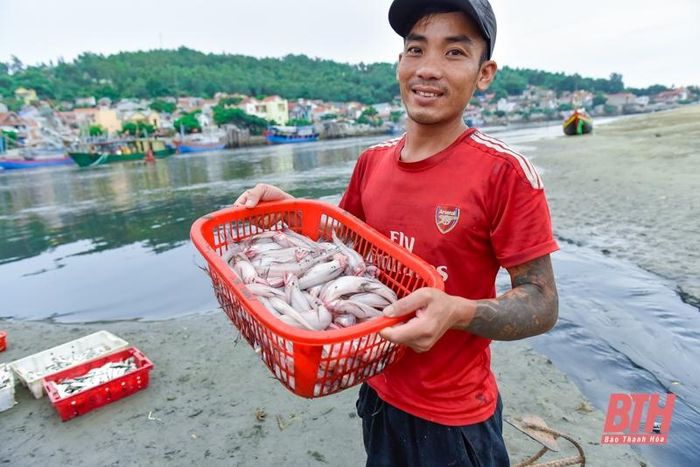 La liệt các loại tôm, cua, cá, mực,... tươi ngon ở chợ cá Hải Bình nằm bên cửa biển Lạch Bạng - Ảnh 8.