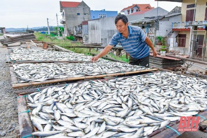 La liệt các loại tôm, cua, cá, mực,... tươi ngon ở chợ cá Hải Bình nằm bên cửa biển Lạch Bạng - Ảnh 11.