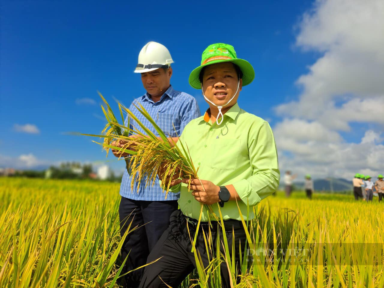Giống lúa mới của ThaiBinh Seed tạo sức hút khi đến với xứ sở hoa vang - Ảnh 1.
