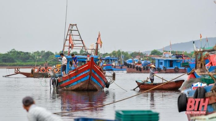 La liệt các loại tôm, cua, cá, mực,... tươi ngon ở chợ cá Hải Bình nằm bên cửa biển Lạch Bạng - Ảnh 2.