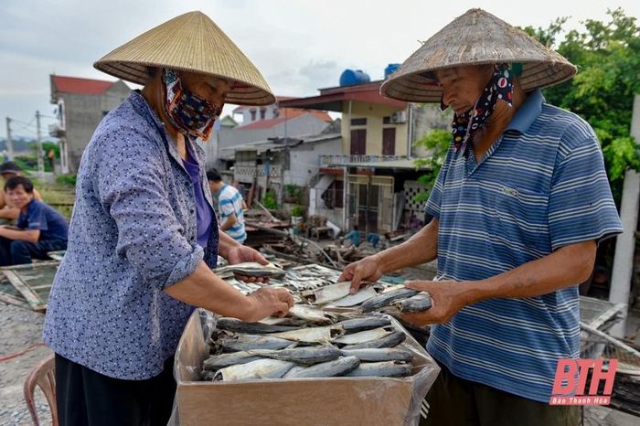 La liệt các loại tôm, cua, cá, mực,... tươi ngon ở chợ cá Hải Bình nằm bên cửa biển Lạch Bạng - Ảnh 14.