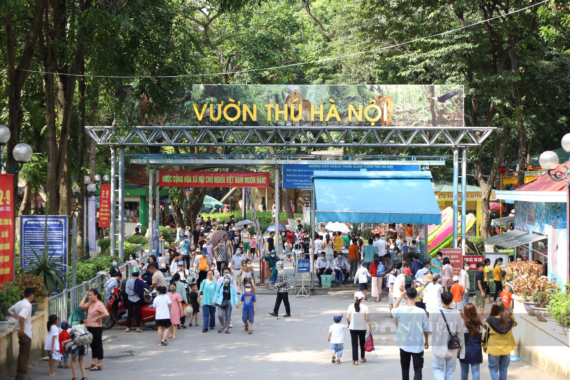Giám đốc Vườn thú Thủ Lệ tiết lộ điều bất ngờ về lượng khách đến tham quan trong ngày nghỉ lễ Quốc khánh 2/9 - Ảnh 2.