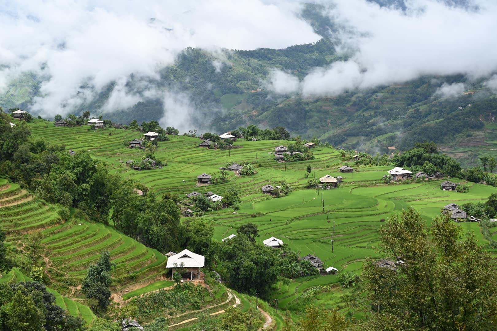 Ngắm ruộng bậc thang mờ ảo dưới màn mây ở Bản Phùng, Hà Giang - Ảnh 8.