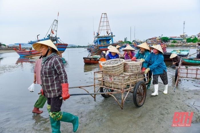 La liệt các loại tôm, cua, cá, mực,... tươi ngon ở chợ cá Hải Bình nằm bên cửa biển Lạch Bạng - Ảnh 5.