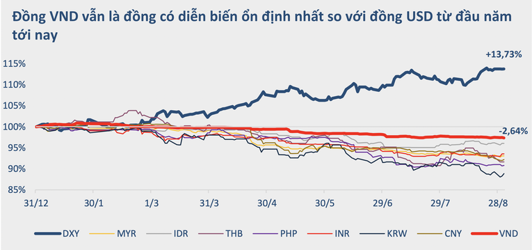 BVSC: Lãi suất tiếp tục tăng nhưng đồng VND sẽ không mất giá quá 3% - Ảnh 5.