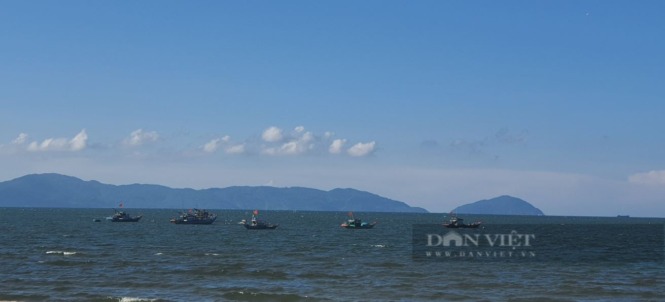 Đà Nẵng: Hơn 40 năm gắn bó với Hoàng Sa, một ngư dân đã trở thành Nông dân xuất sắc Việt Nam 2022 - Ảnh 9.