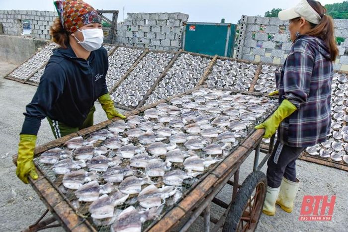 La liệt các loại tôm, cua, cá, mực,... tươi ngon ở chợ cá Hải Bình nằm bên cửa biển Lạch Bạng - Ảnh 13.