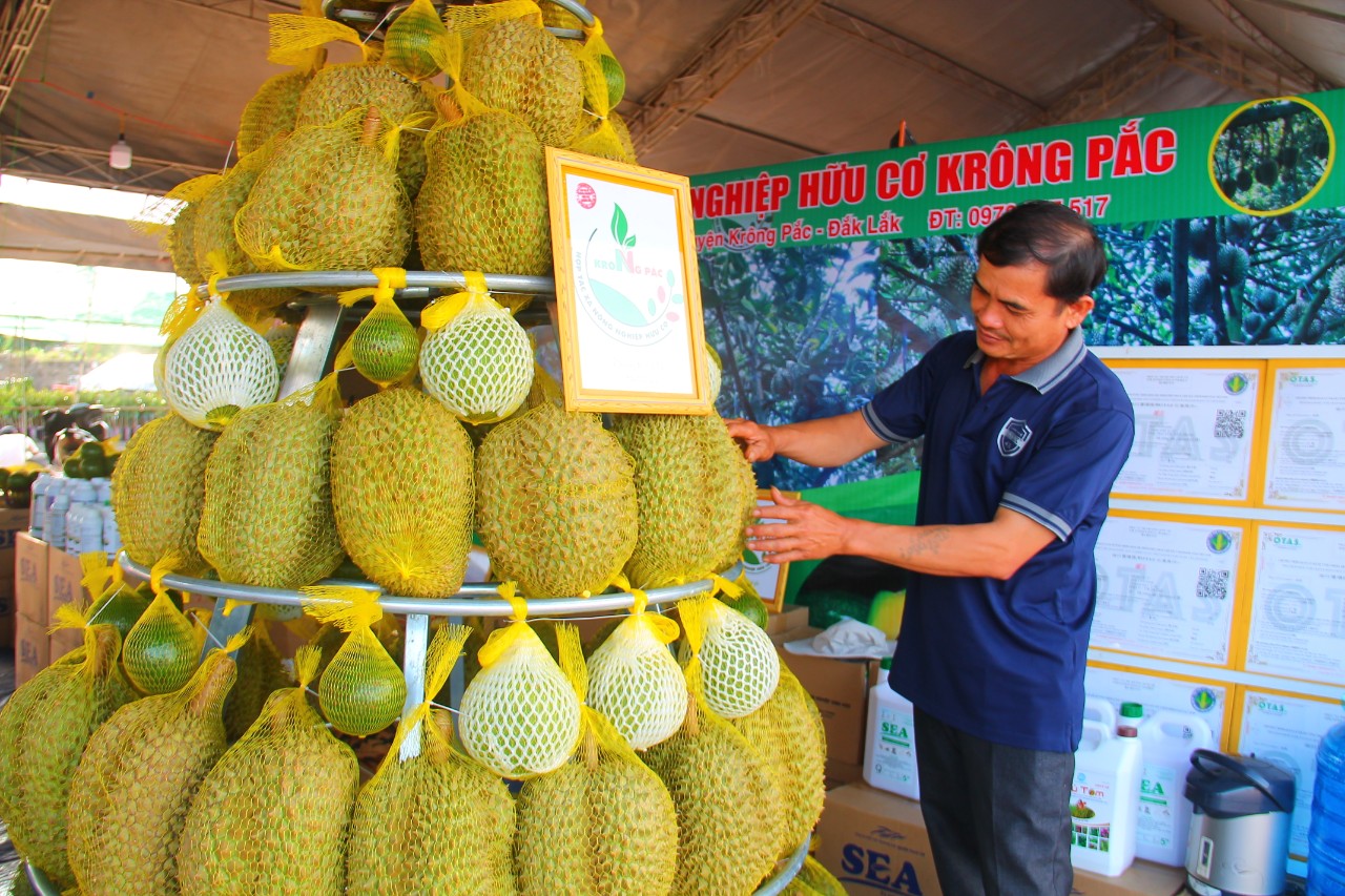 Trung Quốc khó trồng sầu riêng, thương vụ Việt Nam đề xuất sớm ...