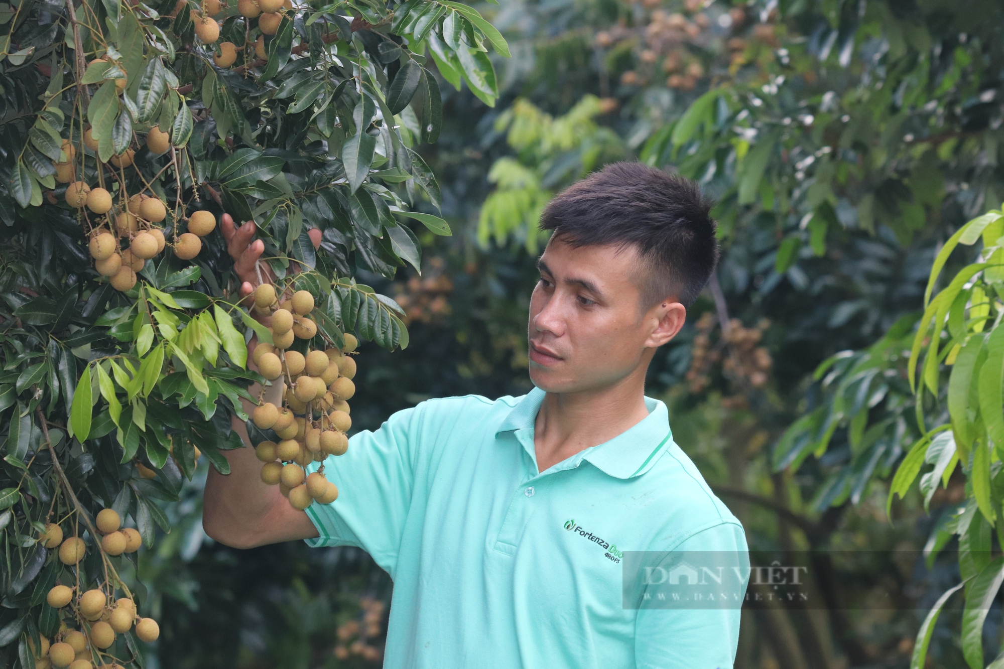 GS.TS Nguyễn Xuân Thắng: “Đưa cây ăn quả lên sườn dốc” là cách làm đột phá của Sơn La - Ảnh 3.