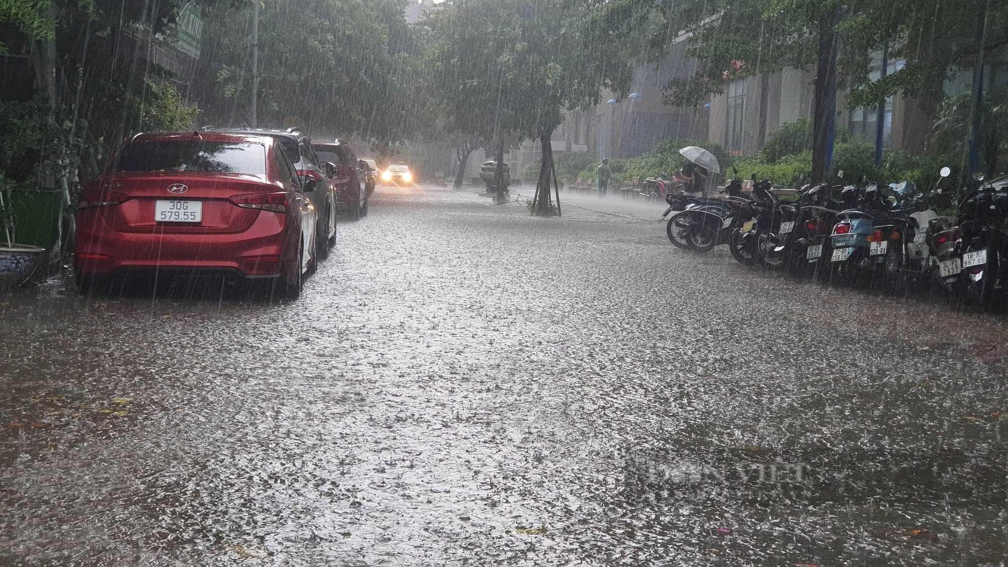 Hà Nội mưa kéo dài chưa đầy 30 phút, cây đã đổ đè ô tô và ngập đường - Ảnh 1.