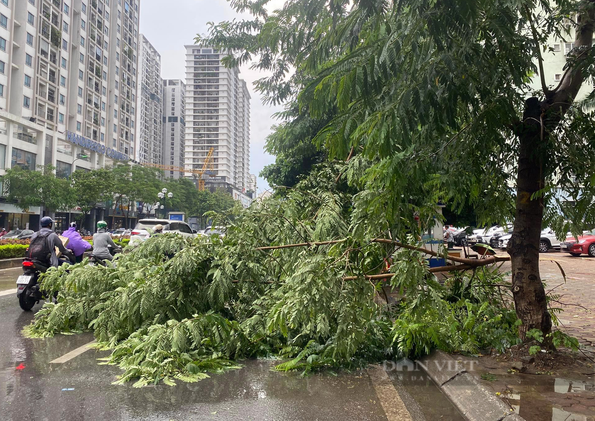 Hà Nội mưa kéo dài chưa đầy 30 phút, cây đã đổ đè ô tô và ngập đường - Ảnh 5.
