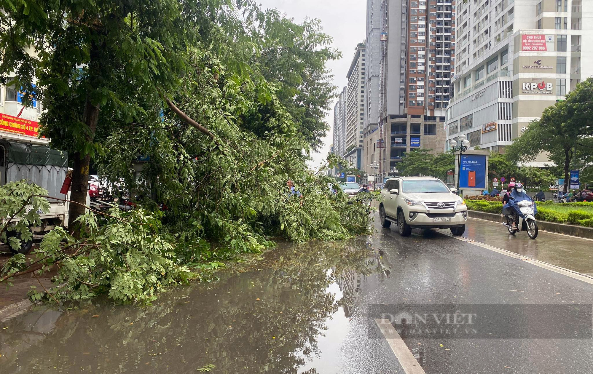 Hà Nội mưa kéo dài chưa đầy 30 phút, cây đã đổ đè ô tô và ngập đường - Ảnh 6.
