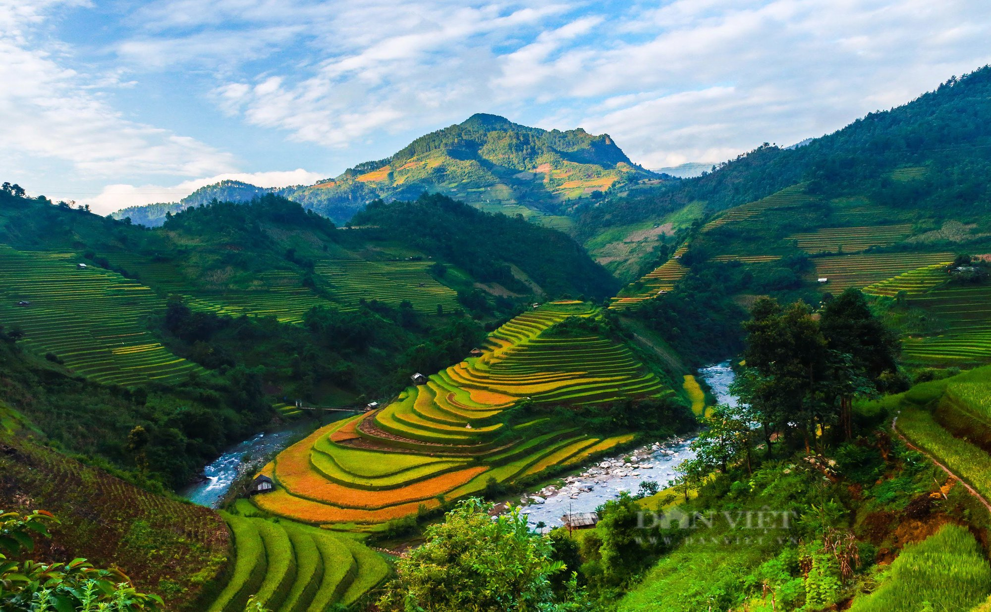 Những ngày này, ruộng bậc thang đang nhuộm vàng khắp Tây Bắc - Ảnh 7.