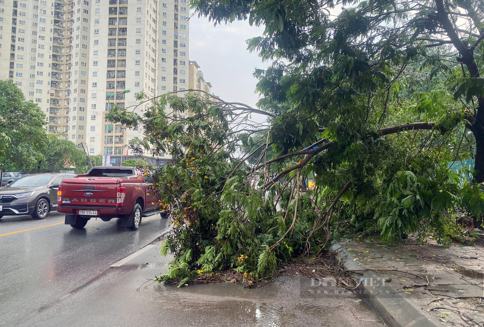 Hà Nội mưa kéo dài chưa đầy 30 phút, cây đã đổ đè ô tô và ngập đường - Ảnh 7.