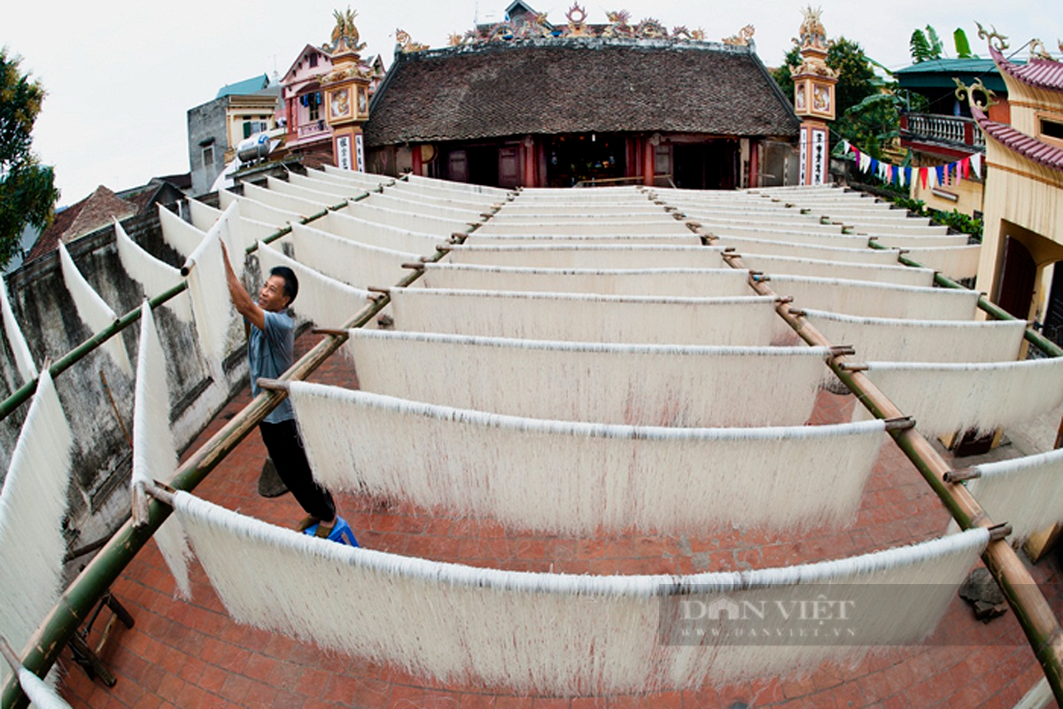 Phú Thọ: Nông dân giỏi, thu tiền tỉ mỗi năm nhờ đặc sản mì gạo sinh ra từ làng - Ảnh 1.