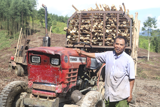 Giá keo tăng liên tục lên 1,4 triệu đồng/tấn, ông nông dân Khánh Hòa bán 20ha, tậu luôn xe công công mới  - Ảnh 1.