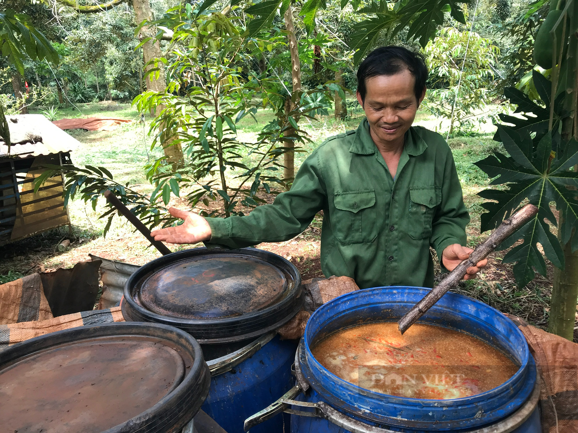 Kỳ lạ: Lão nông trồng sầu riêng ở Đắk Lắk dùng lưỡi để thử thuốc đuổi côn trùng, sợ năng suất quá cao - Ảnh 2.